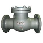 美標不銹鋼止回閥